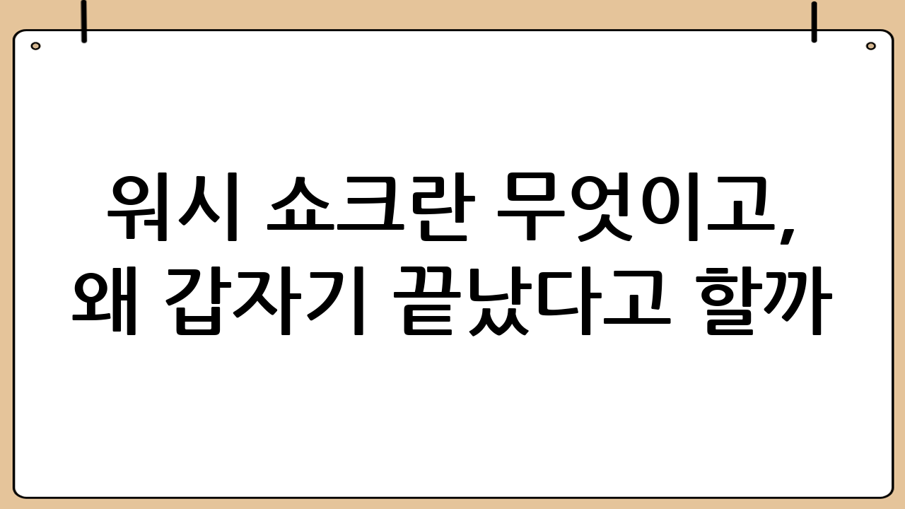 워시 쇼크란 무엇이고, 왜 갑자기 끝났다고 할까?