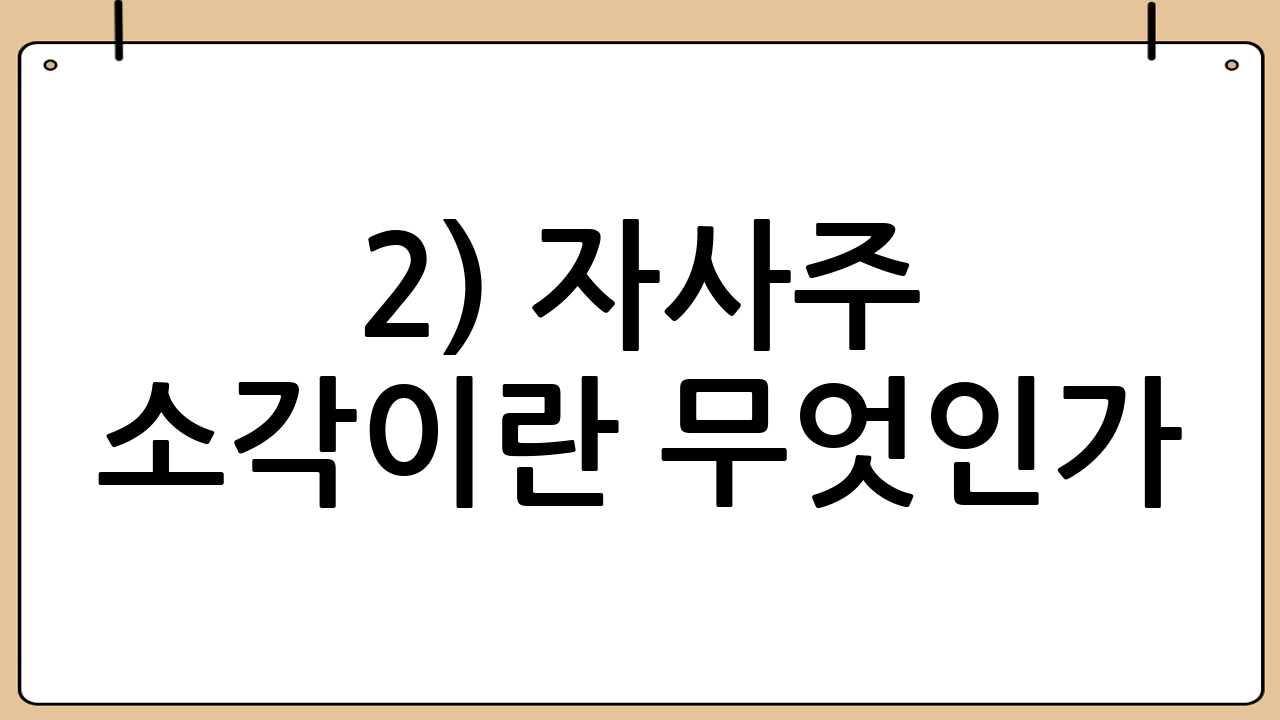 2) 자사주 소각이란 무엇인가