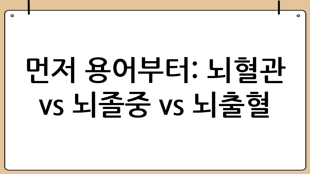 먼저 용어부터: 뇌혈관 vs 뇌졸중 vs 뇌출혈