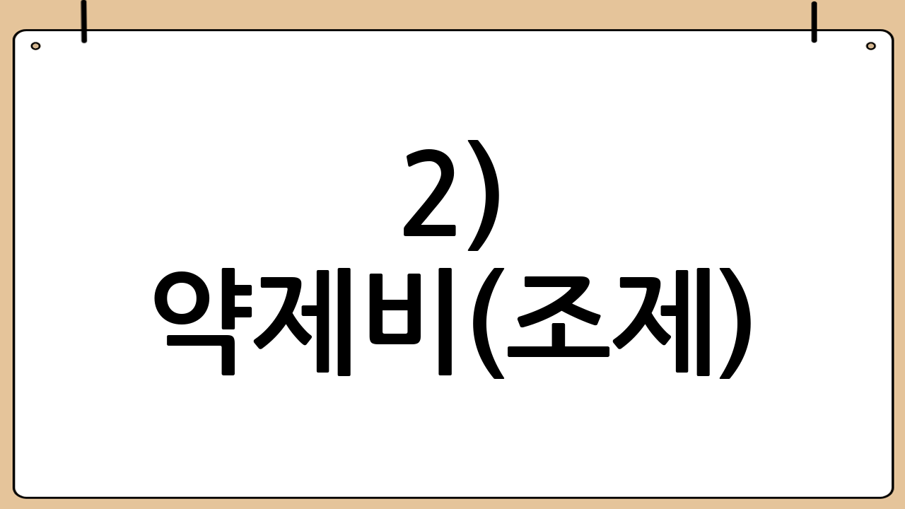 2) 약제비(조제) 세부내역서(가능하면)
