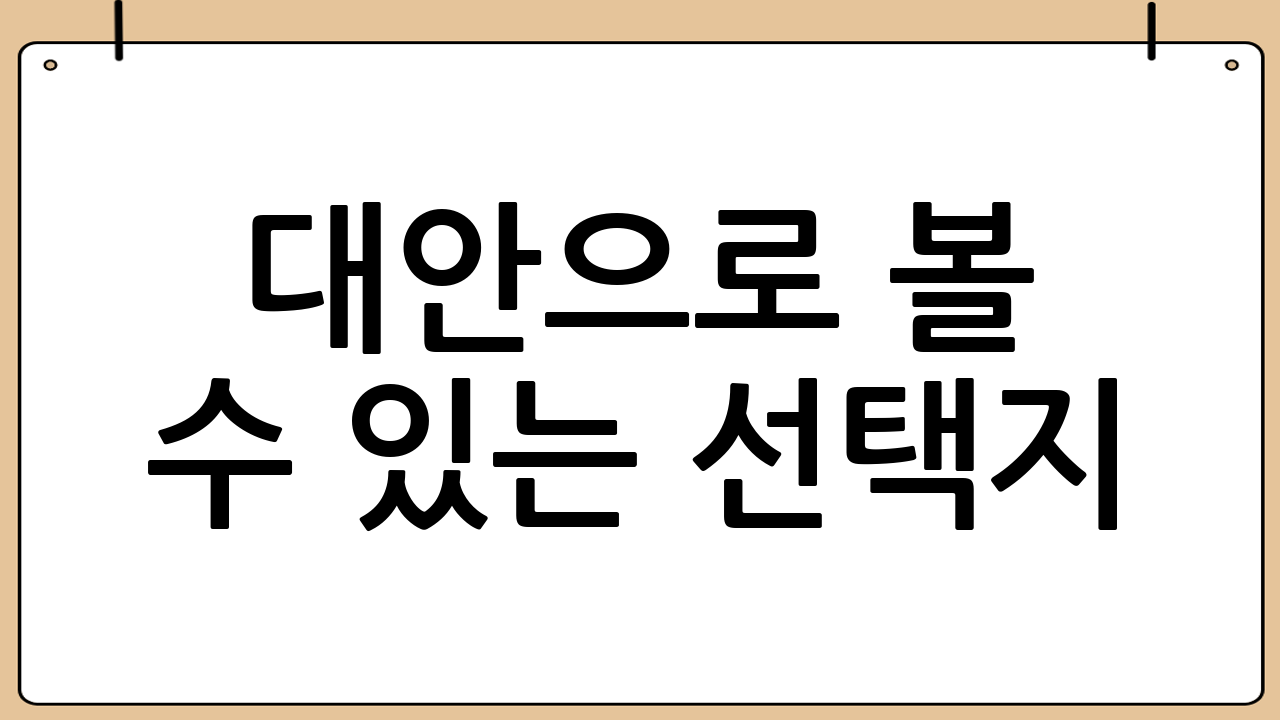 대안으로 볼 수 있는 선택지