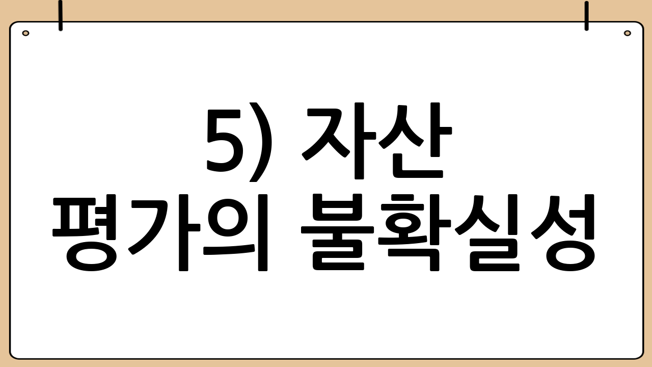 5) 자산 평가의 불확실성
