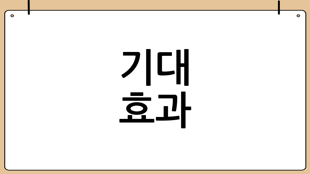 기대 효과