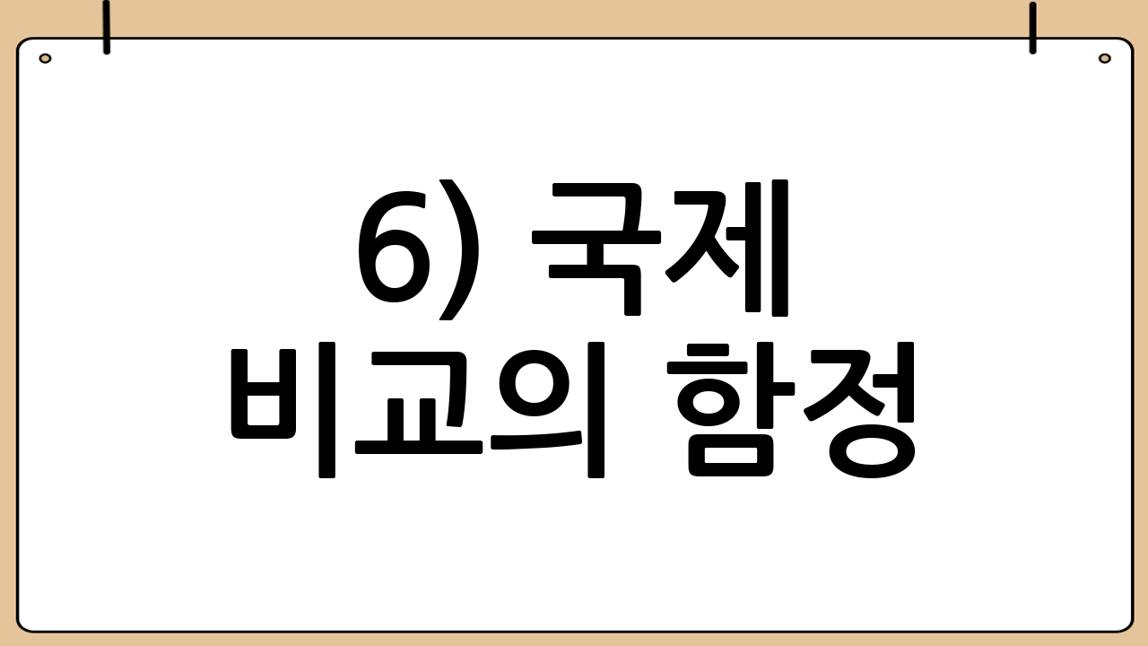 6) 국제 비교의 함정