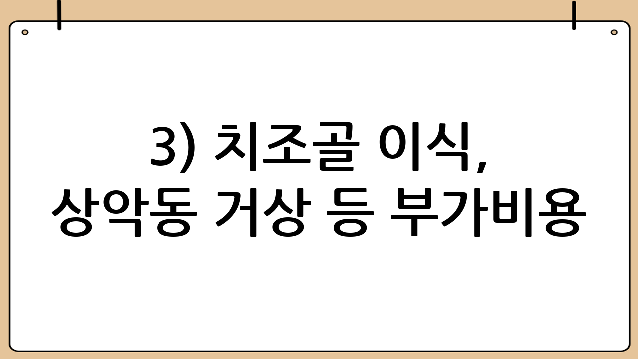 3) 치조골 이식, 상악동 거상 등 부가비용